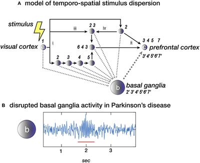 Frontiers Linking Pathological Oscillations With Altered Temporal